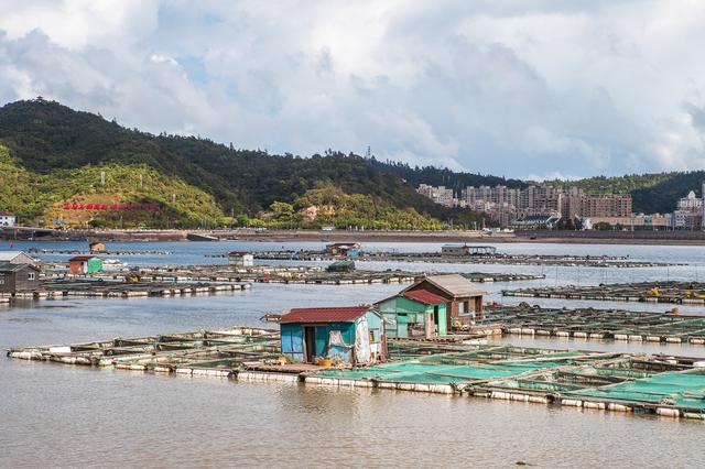 甘肃大漠里的仿造古城，虽然没有历史建筑，旅游旺季游客却很多