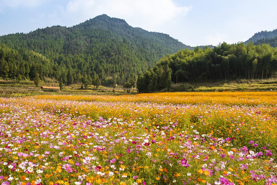 宁波自驾游，这条与云海相伴的盘山公路，赶在开学前一定要去一次